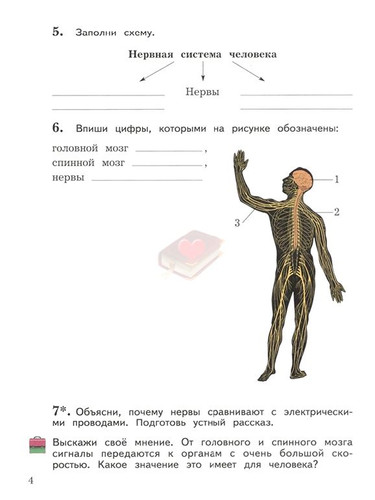 Проект на тему нервная система человека