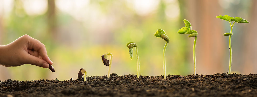 AdobeStock_332303684. OLG Seeds of Faith.jpeg