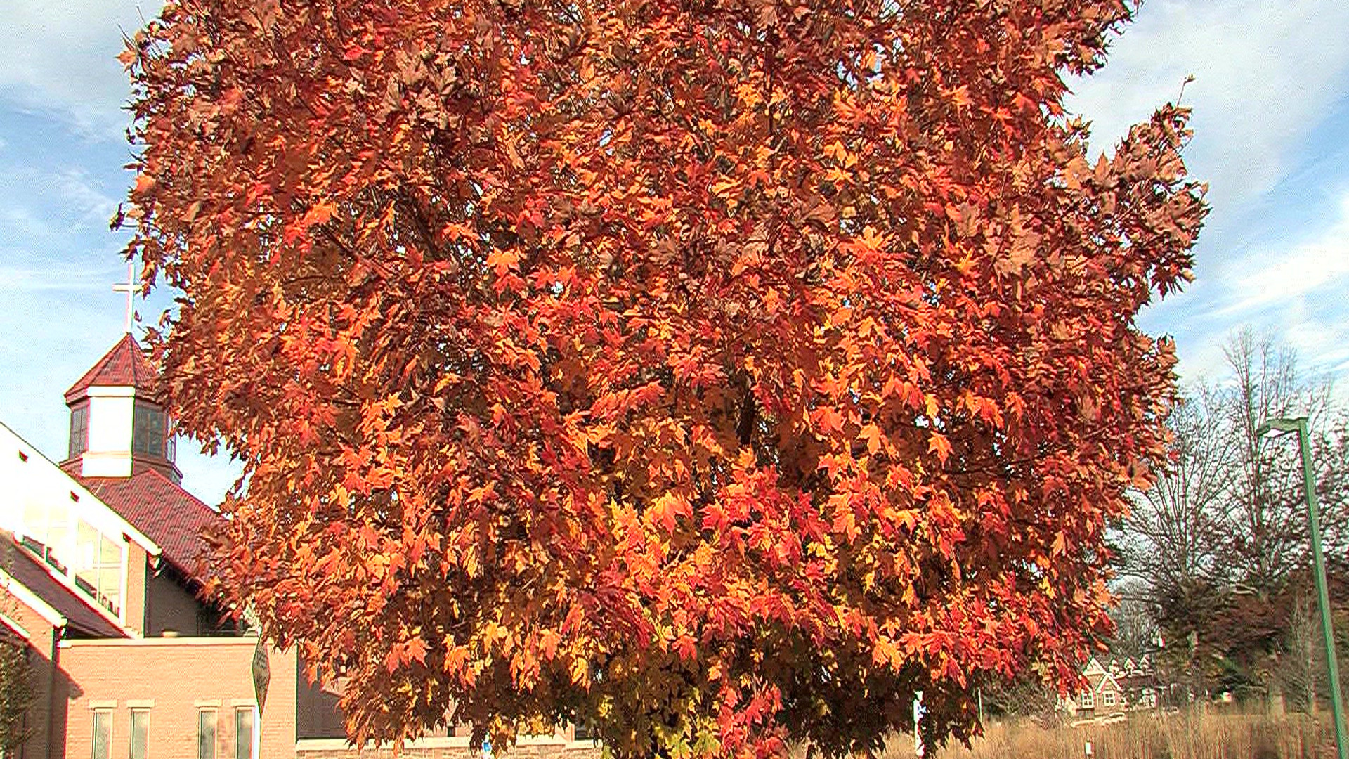 Our Lady of Guadalupe Catholic Church Official Site Buckingham, PA