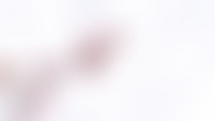 Konkurs "Warszawa w kwiatach"