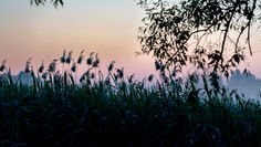 Długi weekend w Wilanowie