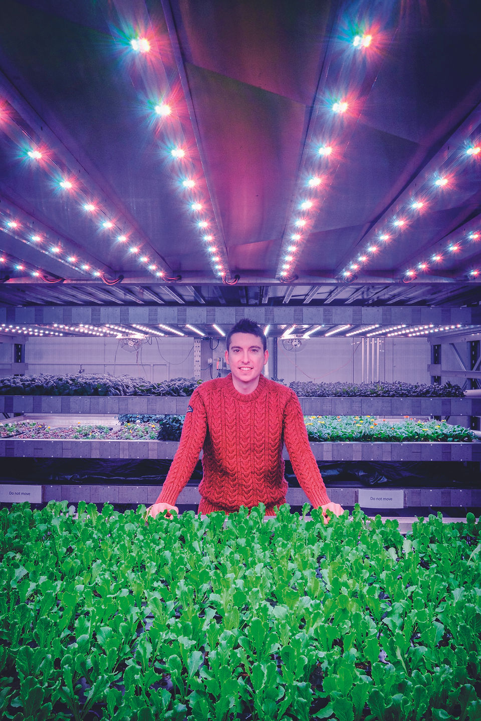 Dave with a table full of green crops