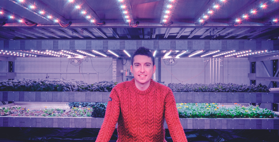 Dave with a table full of green crops