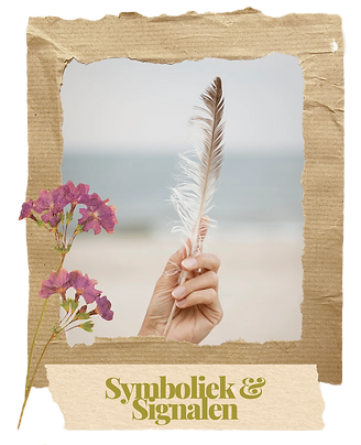 Symbolische witte veer met spirituele betekenis aan de zee