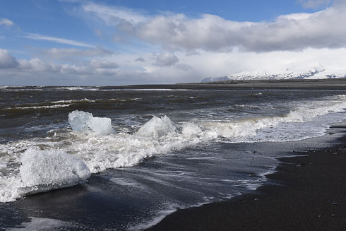 DSC_6549.JPG