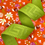 Thumbnail: 1½” (38mm) Trendsetter Webbing - BRIGHT GREEN 