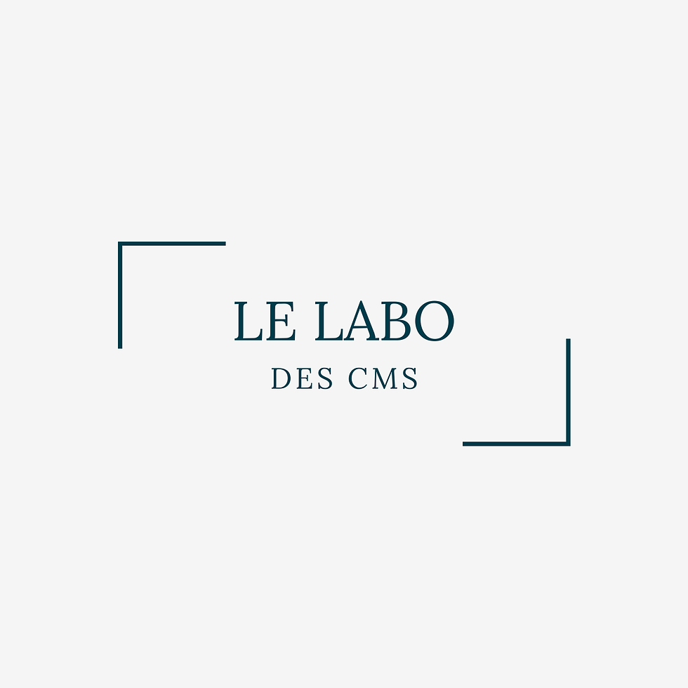 Le Labo des CMs.png