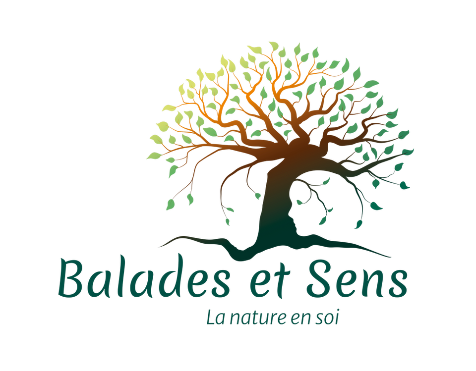 Création de logo et la charte graphique pour Balades et Sens