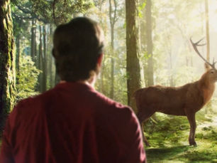 Eight postcards from Utopia