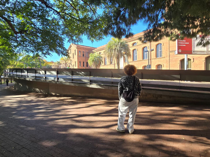 Conversación con Enerolis