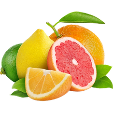 5403639-widescreen-330x330-pix-citrus-wa