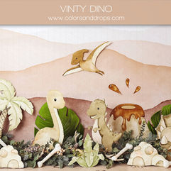 Décors de dinosaures avec VINTY DINO, WWW.VINTYDINO.COM, Fonds Bébé, séance photo.