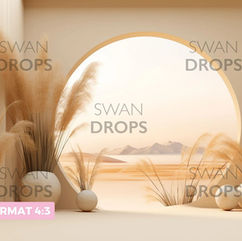Scène neutre "SWAN DROPS" "FORMAT 4:3", pampa, fenêtre ronde, paysage. Décors photo.