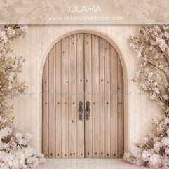 Porte en bois arquée CLARIA entourée de fleurs roses, Décors pour séance photo.