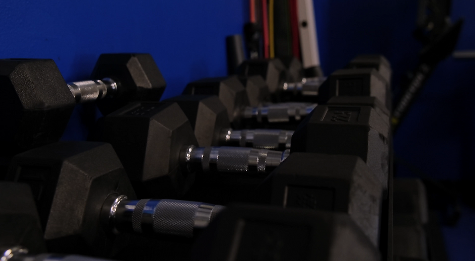 dumbbell rack