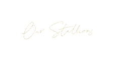 Decoration