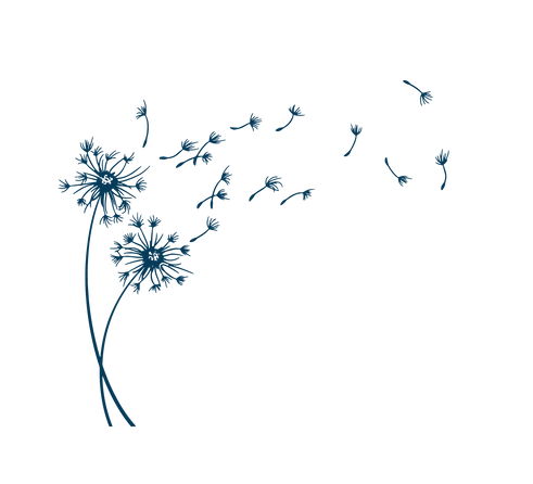 Dandelions-08.png