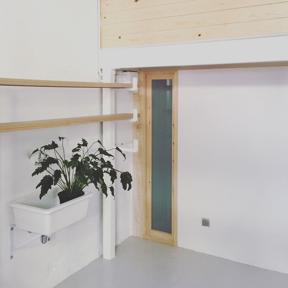 indoor plant styling