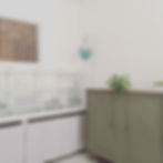 indoor plant styling