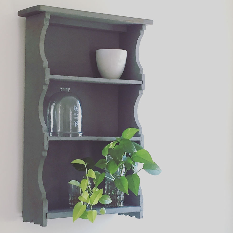 indoor plant styling