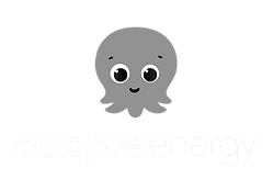 octo logo.png