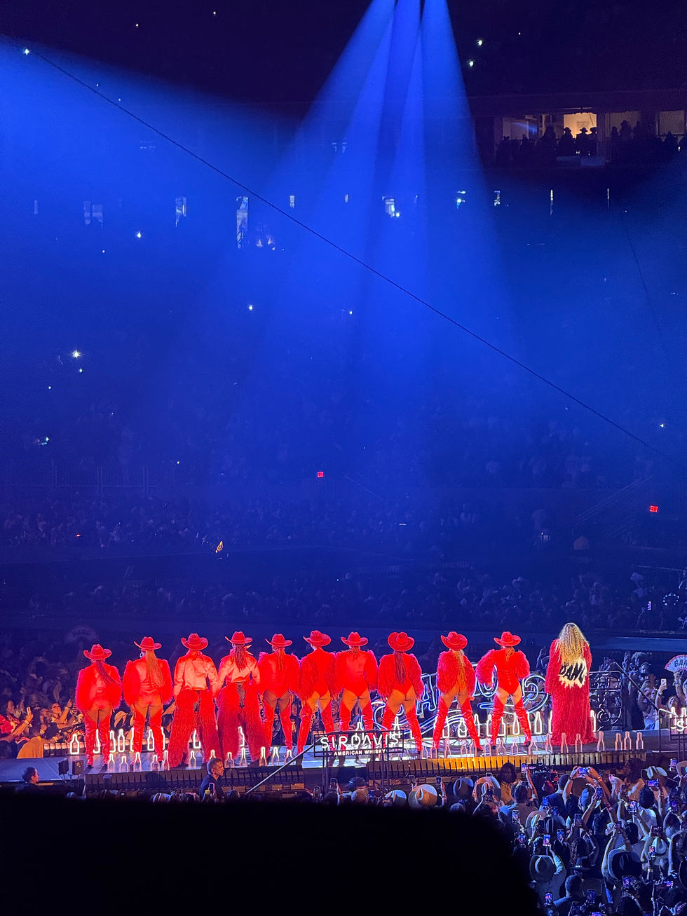 Cowboy Carter Tour - Houston, Night 2