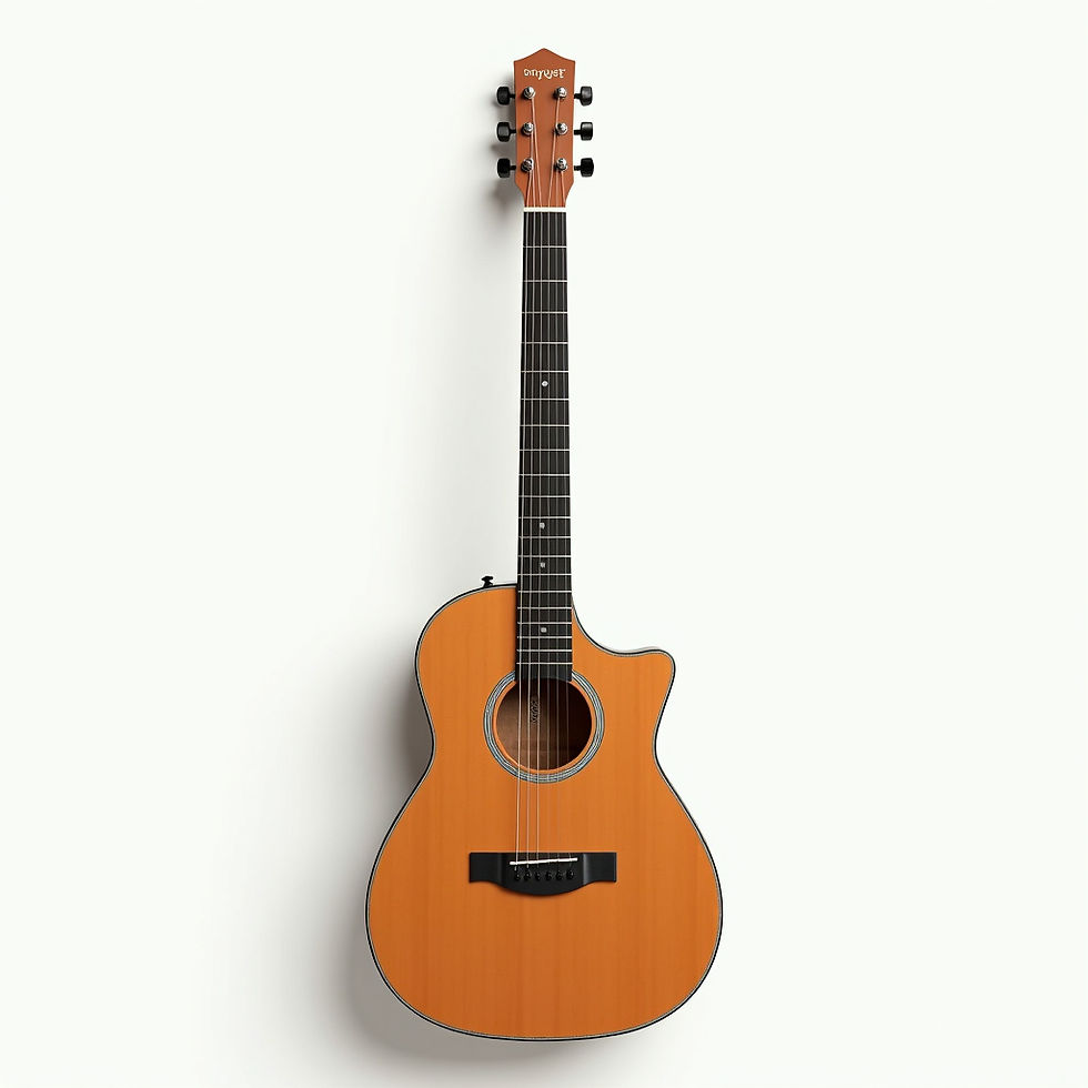 Beginner Acoustic Guitar