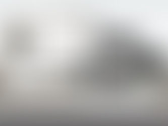 Mastering the Art of Plastering: A Comprehensive Guide to Types of Plaster