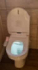 Japanese Bidet Toilet | Ash Plumbing & Bathrooms | Shropshire
