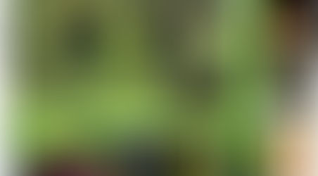 La Casa Organica / Javier Senosiain