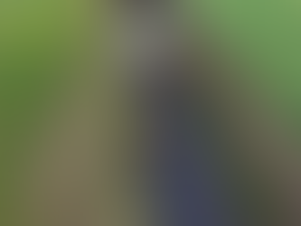 Why your tarmac fails without proper compaction