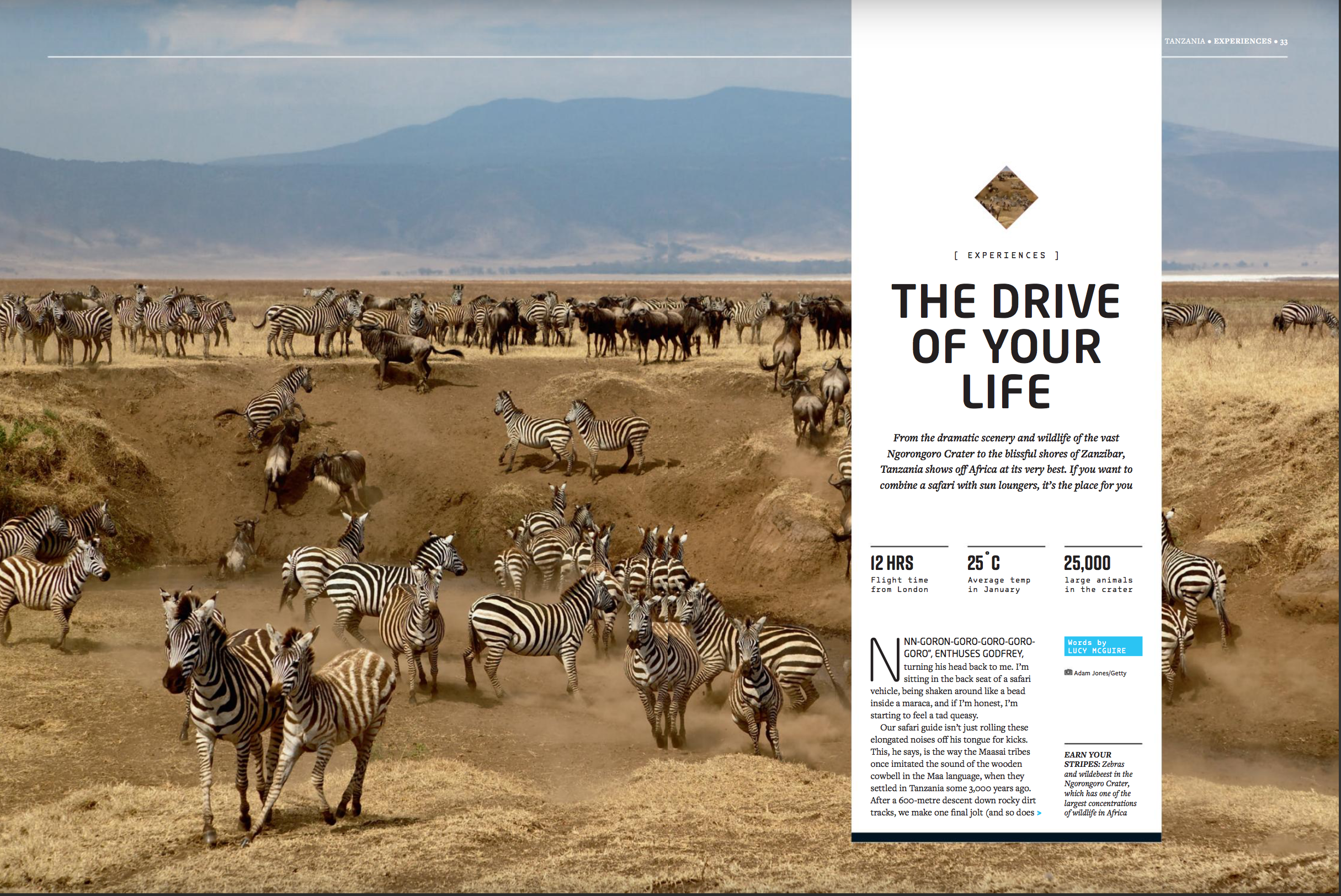 Ngorongoro: A Tanzania Safari