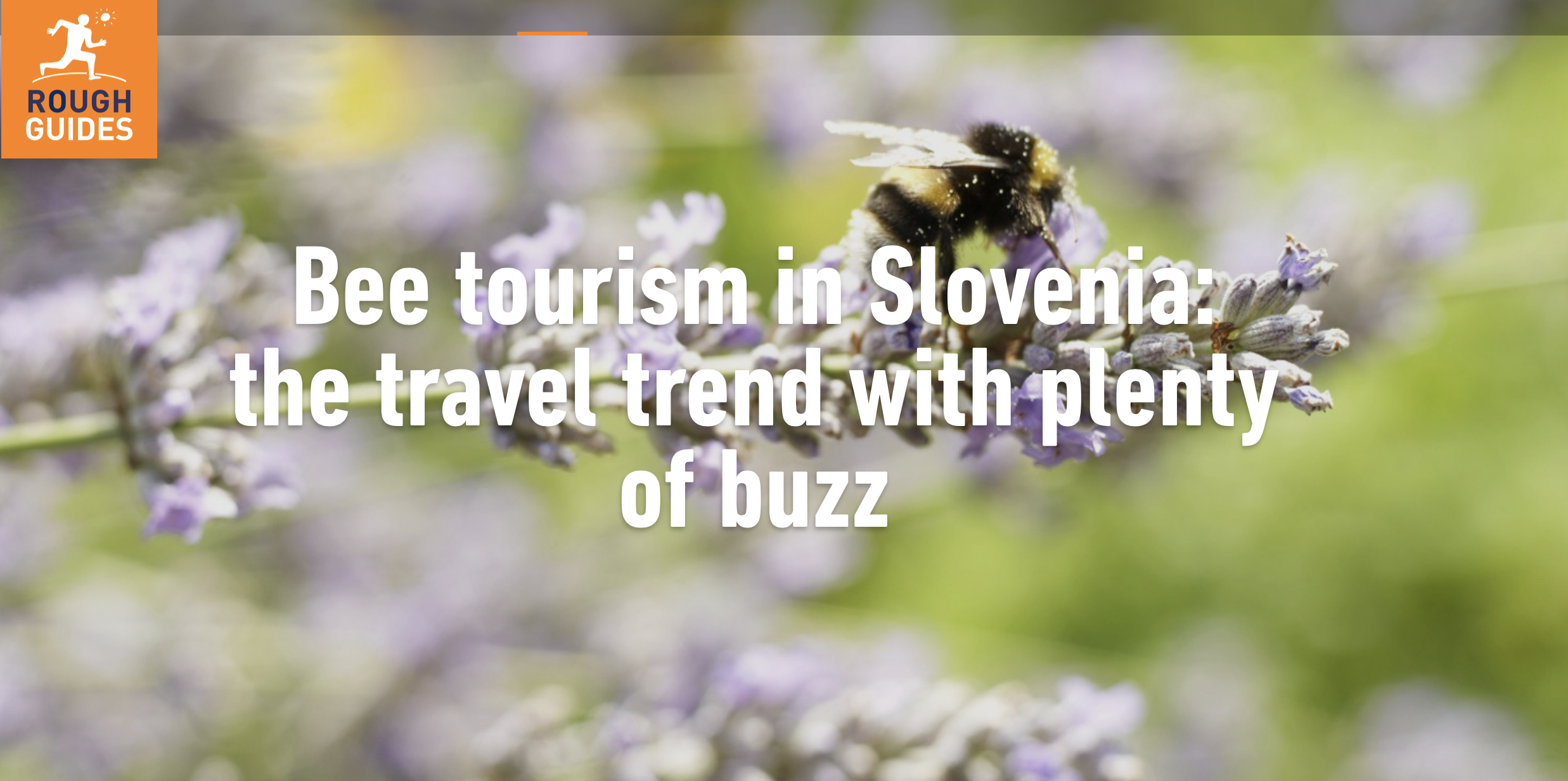 Bee Tourism Slovenia Rough Guides