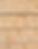 greenpine web-small.jpg