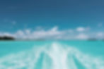 pexels-vincent-gerbouin-445991-1170815.jpg