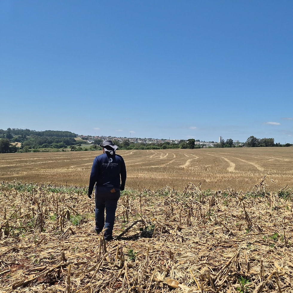 Investigação e prospecção interventiva em terreno do município de Arapongas/PR