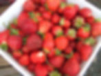 Berry Farms