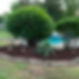 River rock and brown mulc with large shrubs next to an inground swimming pool.