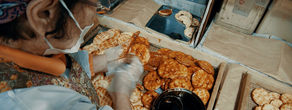 LifeFilm samples