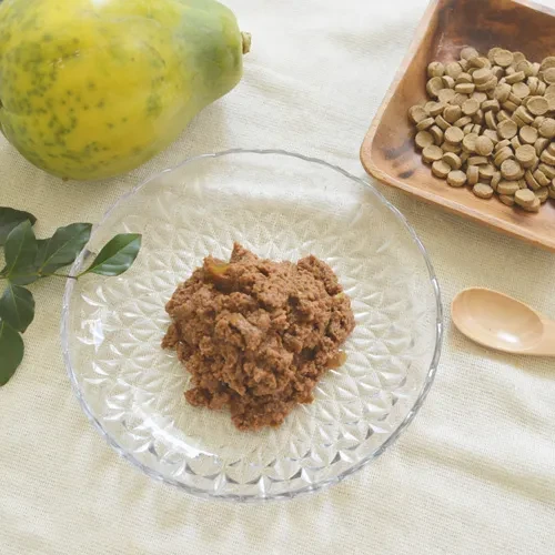 ビオリオーブ（Bioliob）鶏ハツ 夏のごちそう パパイヤ仕立て | SJ