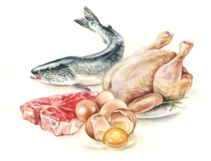 ハッピードッグの原材料。新鮮な肉や魚に、野菜、果物、ハーブ.webp