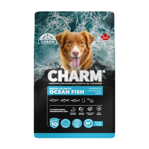 チャーム(CHARM)ノース アトランティック オーシャン フィッシュ チャーム(CHARM)ノース アトランティック オーシャン フィッシュ