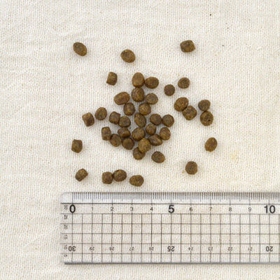 サムネイル： ナウフレッシュ グレインフリー フィッシュ アダルト キャット 3.63kg 成猫用 キャットフード 総合栄養食 （NOW FRESH Grain Free ）