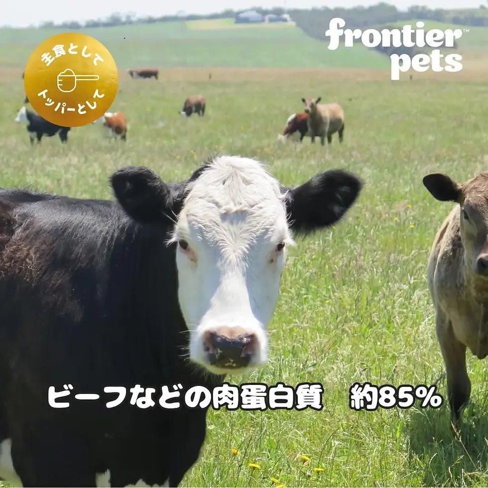 サムネイル： FrontierPets（フロンティアペッツ）犬用 フリーズドライ フリーレンジ ビーフ
