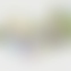 ドイツの獣医師が開発したLOW(ロー)シリーズ・テラカニス・アリベットを販売開始致します。