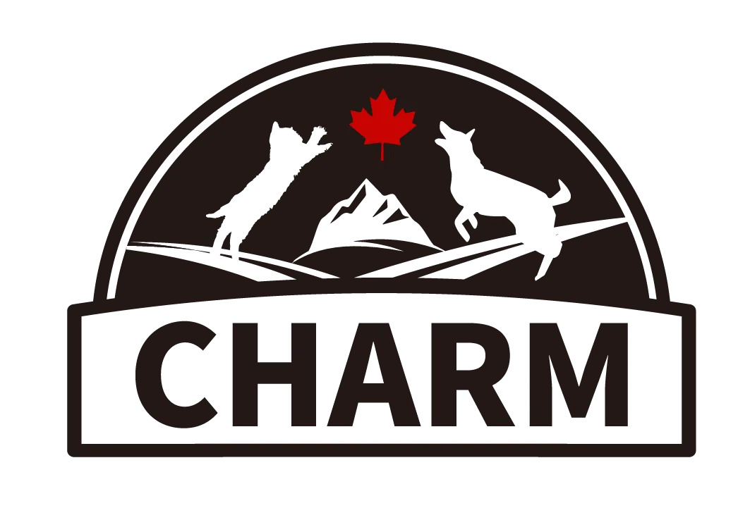 CHARM LOGO.webp