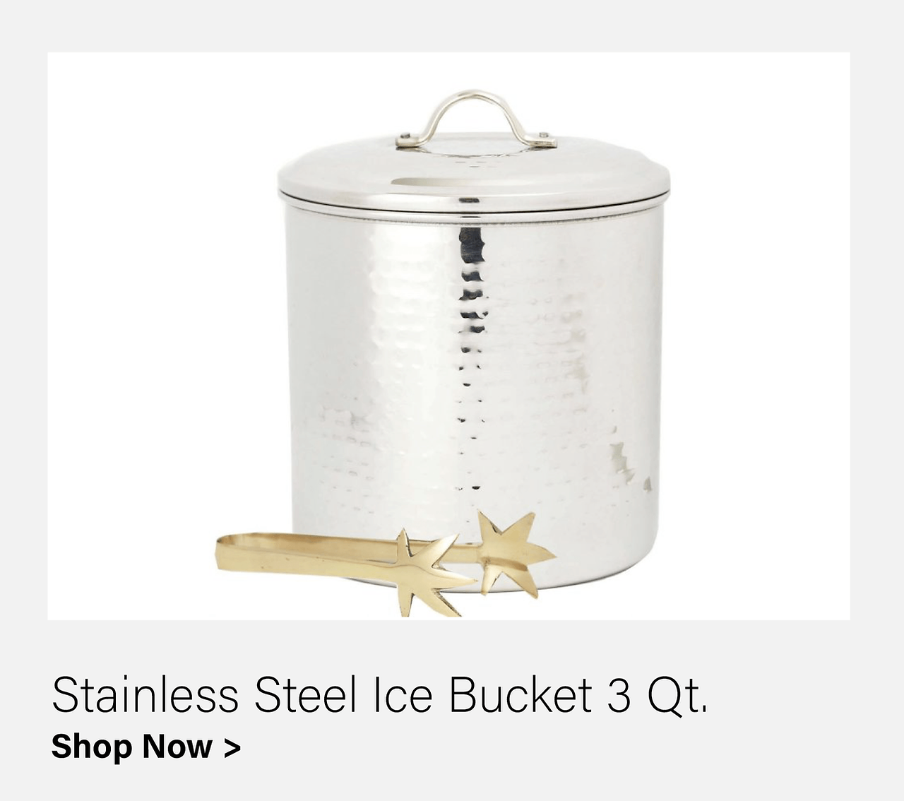 Stainless Steel Ice Bucket