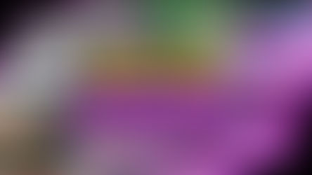 Pokémon Shadows of Creation