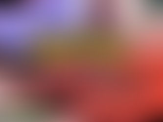 Pokemon Kanto Expansion Pak