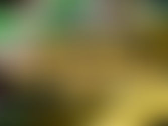 Pokémon Gym Manager 2023